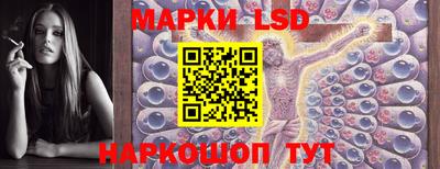 крисы Нальчик