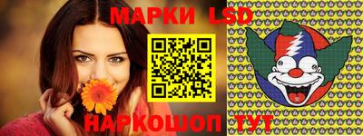 крисы Нальчик