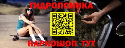 крисы Нальчик