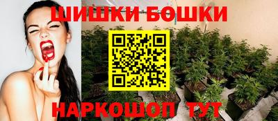 крисы Нальчик