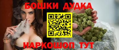 крисы Нальчик
