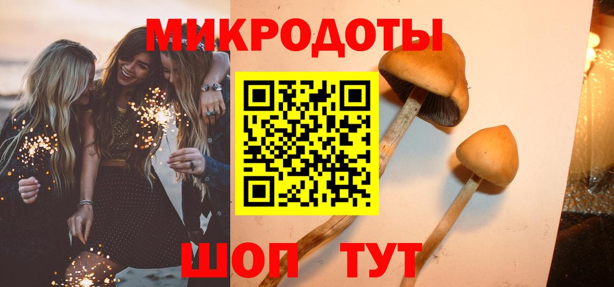 Тольятти  Псилоцибиновые грибы GOLDEN TEACHER  Вход с VPN 